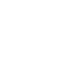 Sber Logo